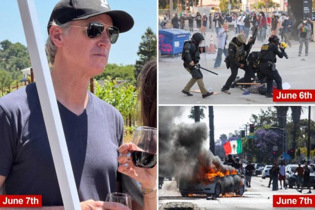 Gavin Newsom sipped wine at Napa fundraiser while anti-ICE protesters plunged L.A. into chaos