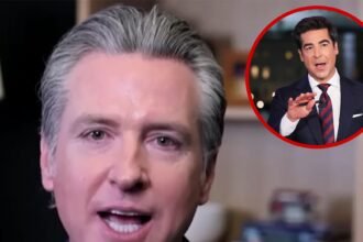 Gavin Newson Calls Fox News ‘Propaganda Network’ Amid Defamation Lawsuit