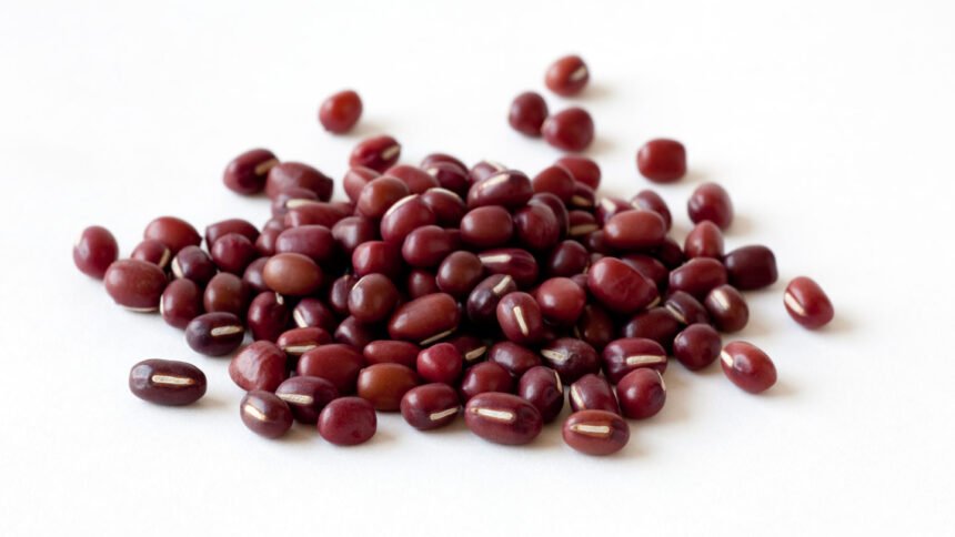 Genetics reveal the origin story of East Asia’s favorite sweet bean