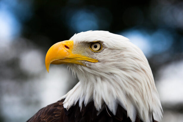 Getting “Screwed” on Trade? – Econlib