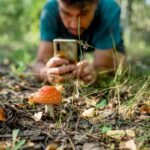Google AI Grant to iNaturalist Prompts Community Outcry