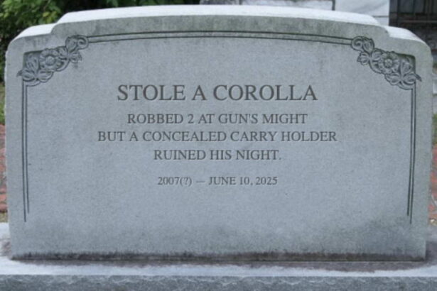 Gunman on carjacking, robbery spree gets killed by concealed carry holder in Humboldt Park