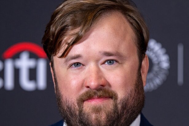 Haley Joel Osment Ordered to Attend 3 AA Meetings Per Week