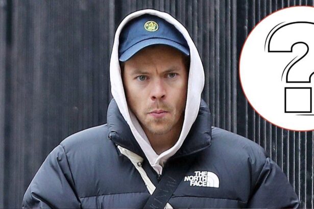 Harry Styles ‘Besotted With’ Huge Hollywood Star