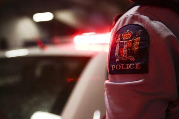 Highway closed after person hit by car near Roxburgh