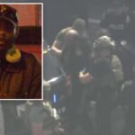 Homeless man arrested in Santa Monica shooting spree