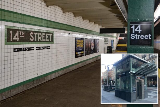 Homeless parolee convicted of subway shove a decade ago arrested for another unprovoked transit attack on 28-year-old woman: cops