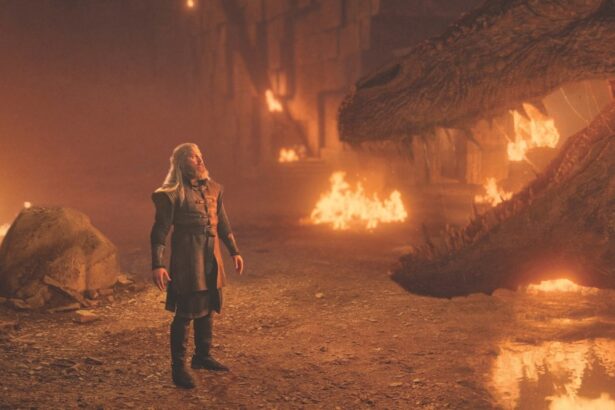 ‘House of the Dragon’ Used Seals, Pigs to Give Voice to the Creatures