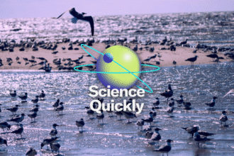 How H5N1 Went from an Illness in Wild Birds to a Global Pandemic Threat