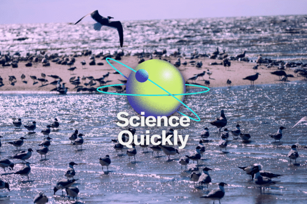 How H5N1 Went from an Illness in Wild Birds to a Global Pandemic Threat