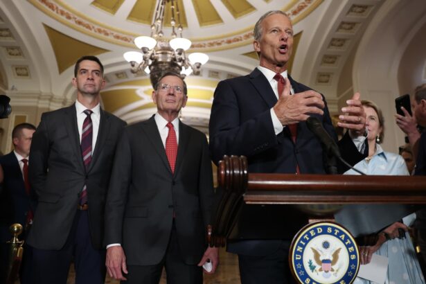 How Republican ‘one big beautiful bill’ targets immigrant finances