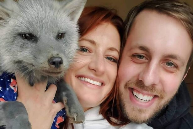 How SaveAFox’s Mikayla Raines’ Husband Ethan is Honoring Her Memory