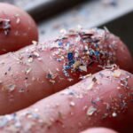How To Reduce Your Exposure to Microplastics: A 2025 Update