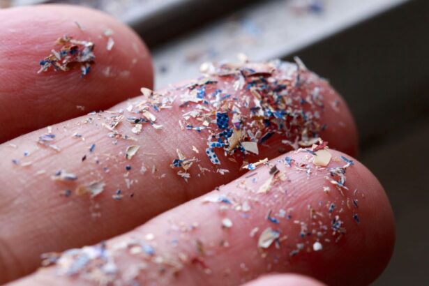 How To Reduce Your Exposure to Microplastics: A 2025 Update