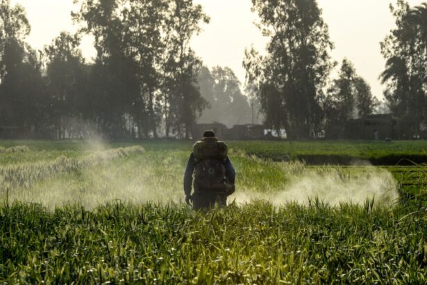 How farming theory could change cancer care