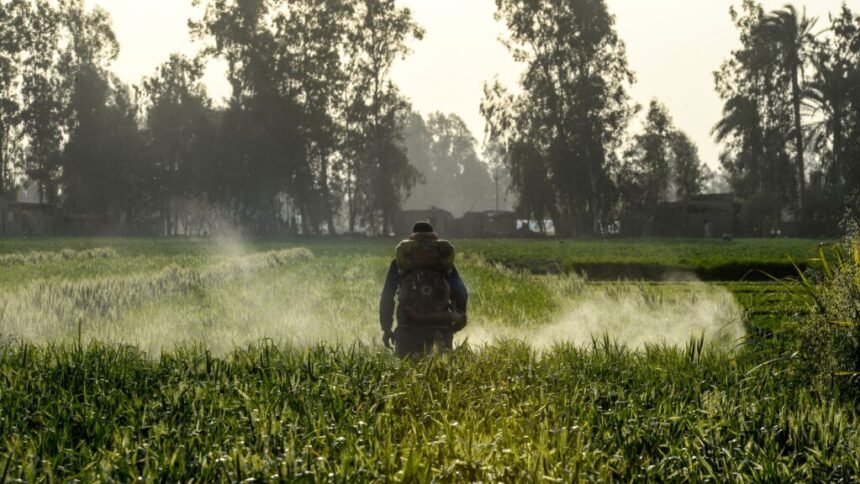 How farming theory could change cancer care