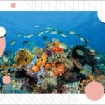 How symbiosis made Earth what it is – and why it’s key to our future