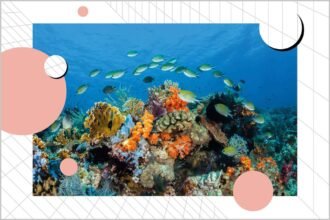 How symbiosis made Earth what it is – and why it’s key to our future