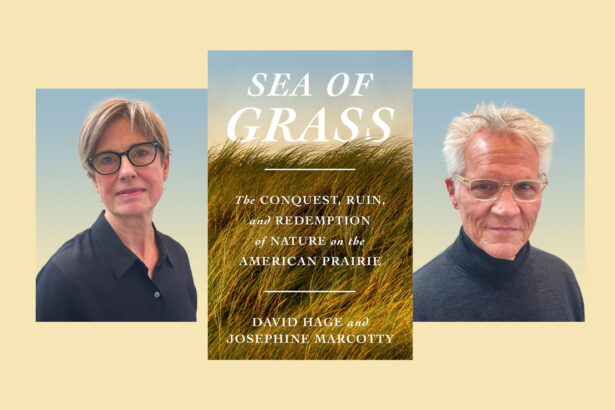 How the American prairie could help us fight climate change.