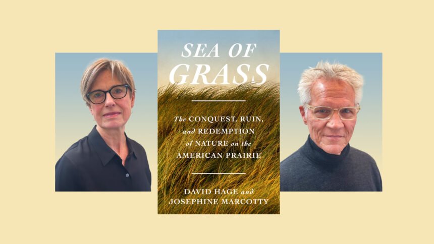 How the American prairie could help us fight climate change.