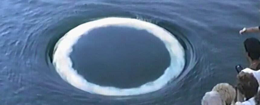 Humpback Whale Bubble Rings May Be an Attempt to Communicate With Us : ScienceAlert