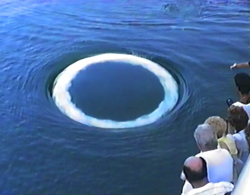 Humpback Whales Are Approaching People to Blow Rings. What Are They Trying to Say? — Colossal
