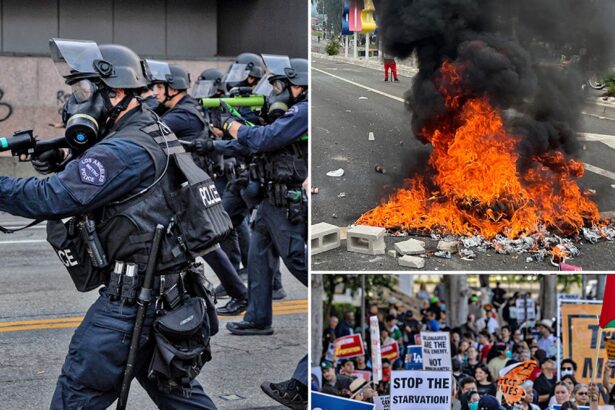 Hundreds of Protesters and Police Clash Over Immigration Issues in L.A.