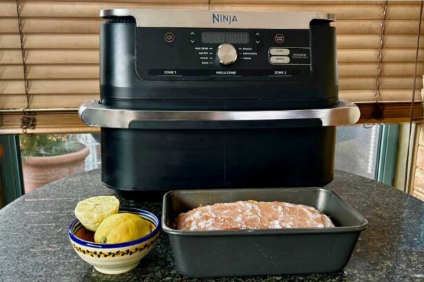 I Used my Ninja Air Fryer For Everything For a Month: 6 Things I Learned