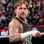 CM Punk has a passionate fanbase [Image Credit: wwe.com]