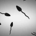 IVF, Trump tax bill, NEJM, Supreme Court