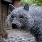 In ‘Big Bad Wolf,’ Sculptor Kendra Haste Contends with Conservation and Rewilding — Colossal
