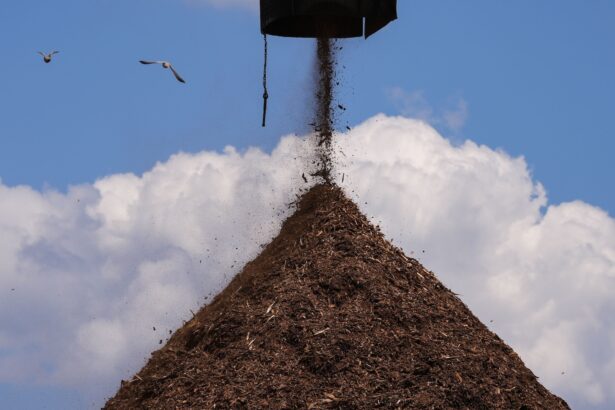 In California, a biomass company’s expansion raises fears of more fires