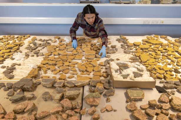 In London, a Roman era demolition pit yields fragments of beauty : NPR