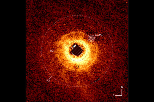 In a first, the Webb telescope found a planet by actually ‘seeing’ it