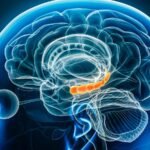 Inactivity Is Bad For Your Brain Health