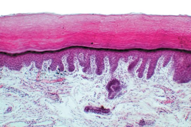 Injured Skin Cells Fire like Neurons to ‘Scream’ for Help