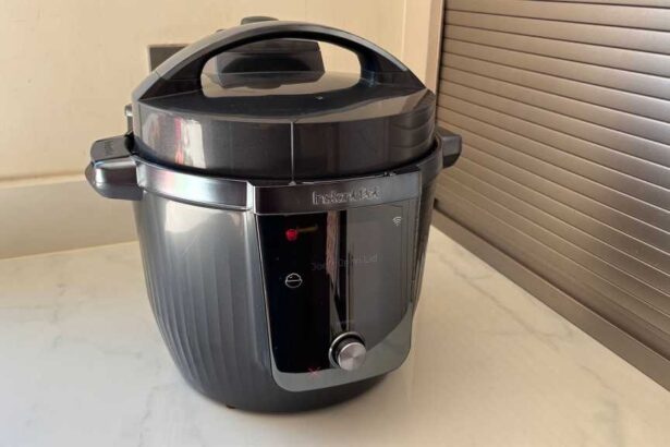 Instant Pot Pro Multicooker review: Amazing Cooking, Smarts Less So