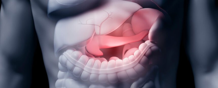 Insulin Isn’t Just Made by The Pancreas. Here’s Another Location Few Know About. : ScienceAlert