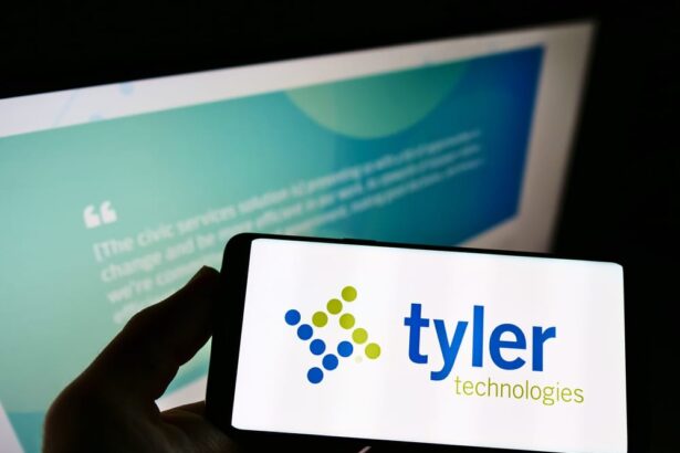 Is Tyler Technologies Stock Outperforming the Dow?