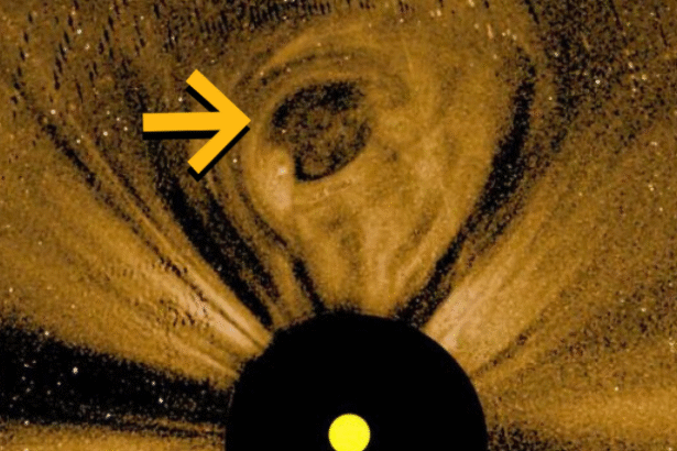 Jaw-Dropping Explosions on The Sun Captured in First NASA PUNCH Images : ScienceAlert