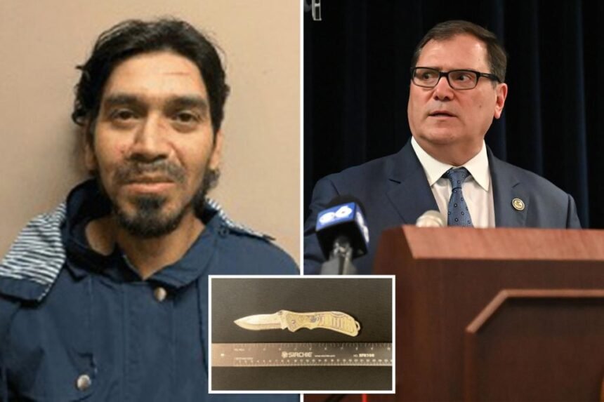 John Sarcone claims knife-wielding illegal migrant who threatened him ‘was going to kill somebody’