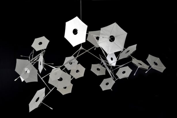 Kinetic Artist Susumu Shingu’s Gentle Message for the World 