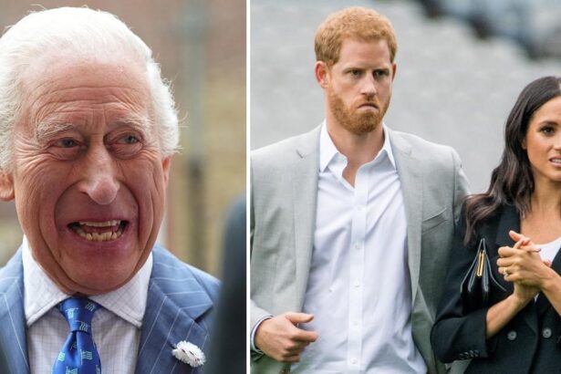 King Charles’ Harry And Meghan ‘Passport Delay’ Scandal