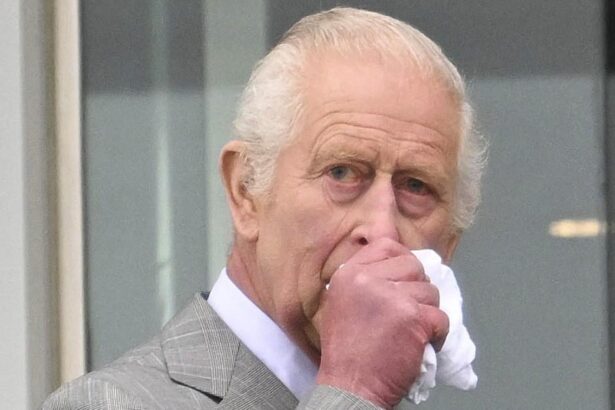 King Charles ‘Refusing Chemo And Boozing’