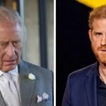 King Charles ‘Warned By Lawyers Not To Reunite With Son Harry’