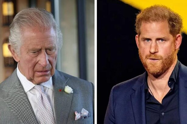 King Charles ‘Warned By Lawyers Not To Reunite With Son Harry’
