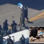 LAPD takes down protester on stilts, drags him away at an anti-ICE riot