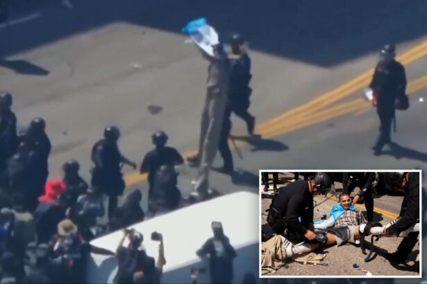 LAPD takes down protester on stilts, drags him away at an anti-ICE riot