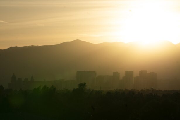 Las Vegas is planting more trees to combat rising temperatures : NPR