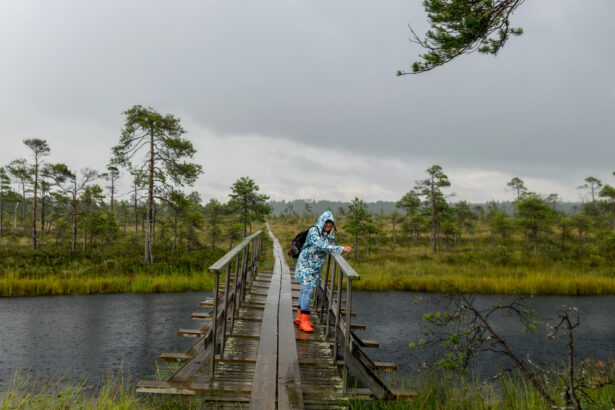 Lines, Legalism, Limits, and Likeness